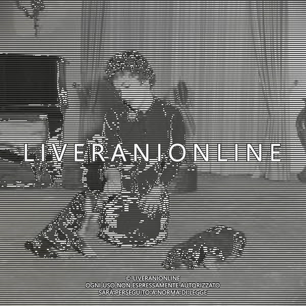NEG-RETROSPETTIVA GINA LOLLOBRIGIDA ATTRICE NELLA FOTO: GINA LOLLOBRIGIDA CON I SUOI CANI PH ARCHIVIO GIOVANNI LIVERANI / AGENZIA ALDO LIVERANI