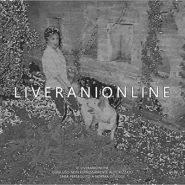 NEG-RETROSPETTIVA GINA LOLLOBRIGIDA ATTRICE NELLA FOTO: GINA LOLLOBRIGIDA CON I SUOI CANI PH ARCHIVIO GIOVANNI LIVERANI / AGENZIA ALDO LIVERANI