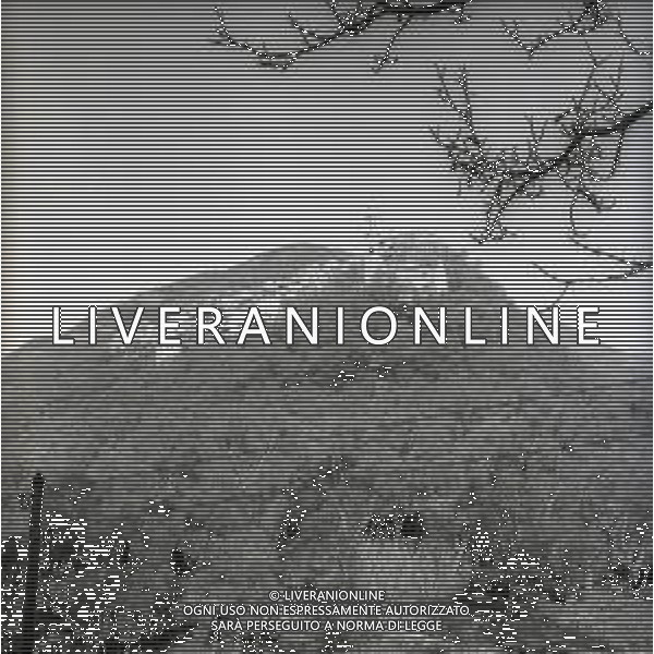NEG-1963 ARMA DI TAGGIA LA BATTAGLIA DI SAN MARTINO PER LA COSTRUZIONE DELLA DIGA LA POPOLAZIONE NON LA VUOLE E PROTESTA IL GIORNO 11 NOVEMBRE 1963 VENGONO SOSPESI I LAVORI AG ALDO LIVERANI SAS