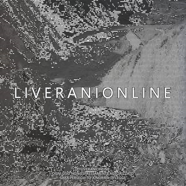 NEG-1963 ARMA DI TAGGIA LA BATTAGLIA DI SAN MARTINO PER LA COSTRUZIONE DELLA DIGA LA POPOLAZIONE NON LA VUOLE E PROTESTA IL GIORNO 11 NOVEMBRE 1963 VENGONO SOSPESI I LAVORI AG ALDO LIVERANI SAS