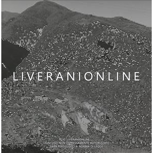 NEG-1963 ARMA DI TAGGIA LA BATTAGLIA DI SAN MARTINO PER LA COSTRUZIONE DELLA DIGA LA POPOLAZIONE NON LA VUOLE E PROTESTA IL GIORNO 11 NOVEMBRE 1963 VENGONO SOSPESI I LAVORI AG ALDO LIVERANI SAS