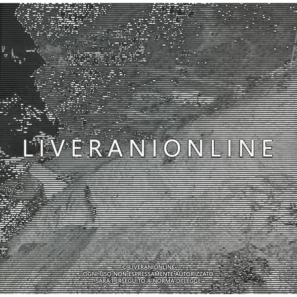 NEG-1963 ARMA DI TAGGIA LA BATTAGLIA DI SAN MARTINO PER LA COSTRUZIONE DELLA DIGA LA POPOLAZIONE NON LA VUOLE E PROTESTA IL GIORNO 11 NOVEMBRE 1963 VENGONO SOSPESI I LAVORI AG ALDO LIVERANI SAS