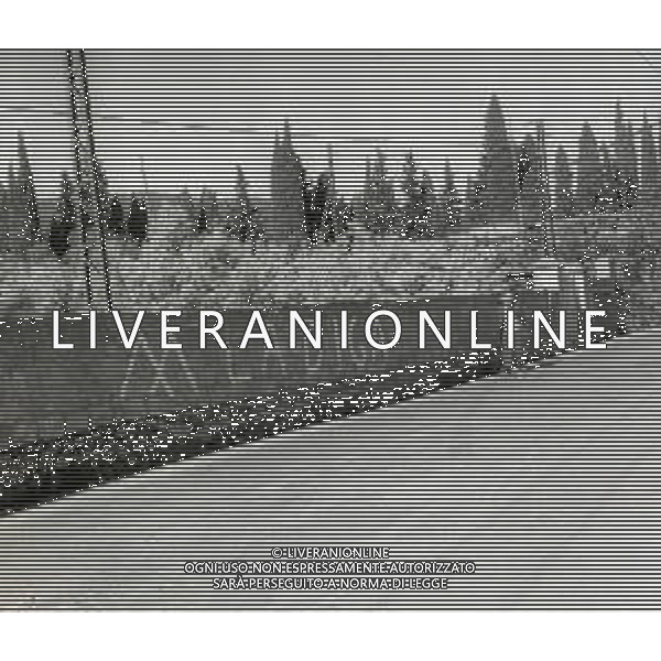 NEG-1963 ARMA DI TAGGIA LA BATTAGLIA DI SAN MARTINO PER LA COSTRUZIONE DELLA DIGA LA POPOLAZIONE NON LA VUOLE E PROTESTA IL GIORNO 11 NOVEMBRE 1963 VENGONO SOSPESI I LAVORI AG ALDO LIVERANI SAS