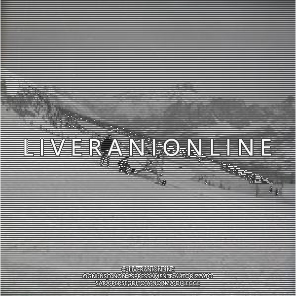 NEG-RETROSPETTIVA SOCCORSO ALPINO NELLA FOTO IL SOCCORSO ALPINO NELL\'ANNO 1966 AG ALDO LIVERANI SAS