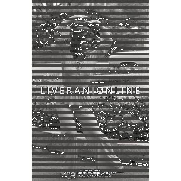 NEG-RETROSPETTIVA ANN MARGRET ATTRICE NELLA FOTO ANN MARGRET PSEUDONIMO DI ANN MARGRET OLSSON A CANNES NELL\'ANNO 1975 AG ALDO LIVERANI SAS