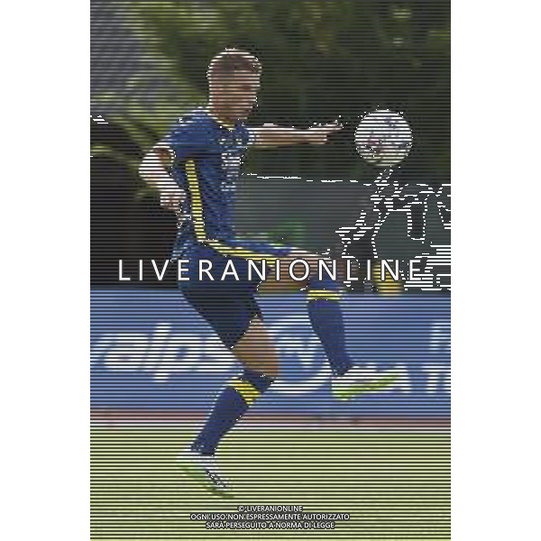 Darko Lazovic (Hellas Verona) Hellas Verona vs Top22 Calcio Veronese gara amichevole Mezzano (TN) 20-07-2023 Centro Sportivo Intercomunale foto Roberto Garavaglia/ag. Aldo Liverani sas