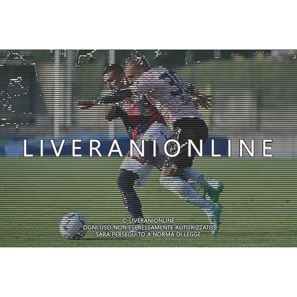 Nicolas Martin Dominguez (Bologna) e Nicola Valente (Palermo) Bologna vs Palermo gara amichevole Rovereto (TN) 22-07-2023 Stadio Quercia foto Roberto Garavaglia/ag. Aldo Liverani sas /AGENZIA ALDO LIVERANI SAS