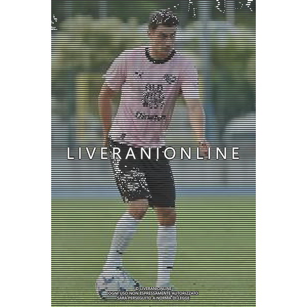 Ionut Nedelcearu (Palermo) Bologna vs Palermo gara amichevole Rovereto (TN) 22-07-2023 Stadio Quercia foto Roberto Garavaglia/ag. Aldo Liverani sas /AGENZIA ALDO LIVERANI SAS