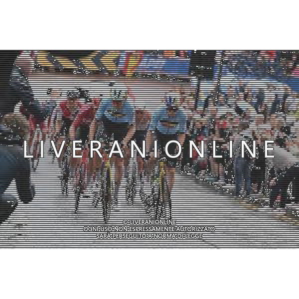 06-08-2023 World Championships Elite; 2023, Jumbo - Visma; Benoot, Tiesj; Van Aert, Wout; Glasgow; ©SIROTTI/AGENZIA ALDO LIVERANI SAS