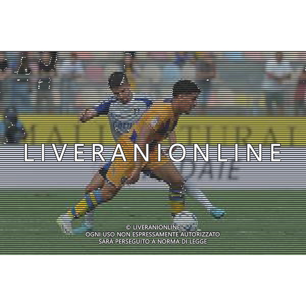 Frosinone vs Pisa Coppa Italia Frecciarossa - Primo turno - Stadio B.Stirpe - Frosinone 11-08-2023 nella foto Nagy e Harroui FOTO FEDERICO GAETANO-AG ALDO LIVERANI SAS