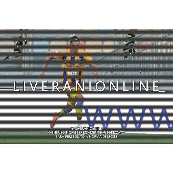 Frosinone vs Pisa Coppa Italia Frecciarossa - Primo turno - Stadio B.Stirpe - Frosinone 11-08-2023 nella foto Marvin Cuni FOTO FEDERICO GAETANO-AG ALDO LIVERANI SAS