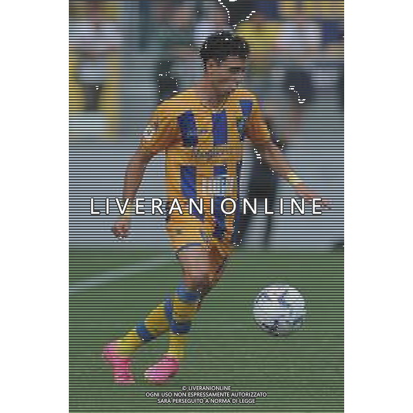 Frosinone vs Pisa Coppa Italia Frecciarossa - Primo turno - Stadio B.Stirpe - Frosinone 11-08-2023 nella foto Giuseppe Caso FOTO FEDERICO GAETANO-AG ALDO LIVERANI SAS