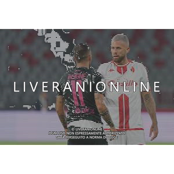 Jeremy Menez (SSC Bari) and Roberto Insigne (Palermo F.C.) during the Italian Serie B match SSC Bari vs Palermo FC on August 18, 2023 at the San Nicola stadium in Bari, Italy. Photo by Emmanuele Mastrodonato/ag. Aldo Liverani sas/AGENZIA ALDO LIVERANI SAS