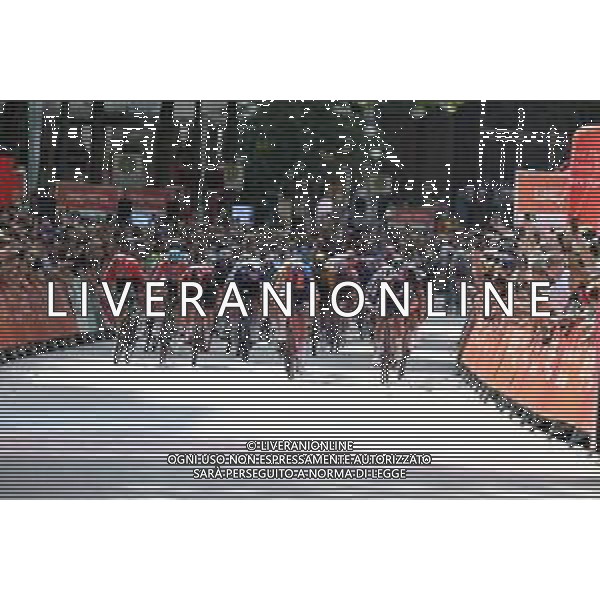 20-08-2023 Classica Di Amburgo; 2023, Lidl - Trek; 2023, Soudal - Quickstep; 2023, Ineos Grenadiers; 2023, Arkea - Samsic; Pedersen, Mads; Lampaert, Yves; Viviani, Elia; Demare, Arnaud; Amburgo; ©SIROTTI / AGENZIA ALDO LIVERANI SAS