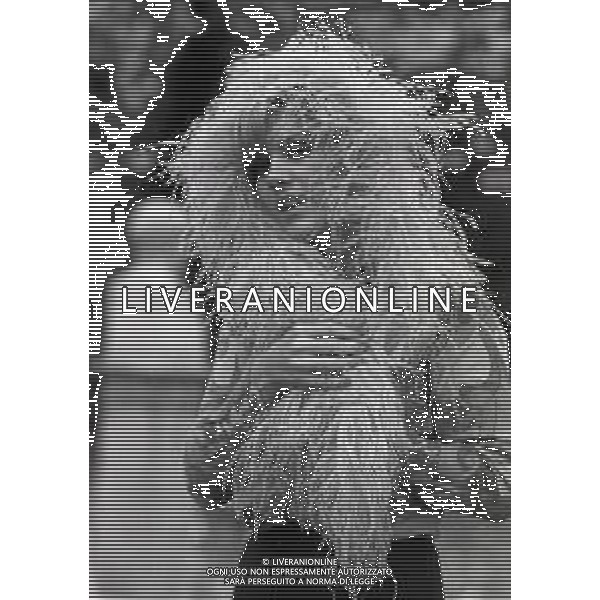 NEG-RETROSPETTIVA CATERINA CASELLI CANTANTE NELLA FOTO CATERINA CASELLI A SANREMO NELL\'ANNO 1967 FOTO PIERO PASCUTTINI-ARCHIVIO GIOVANNI LIVERANI-AG ALDO LIVERANI SAS