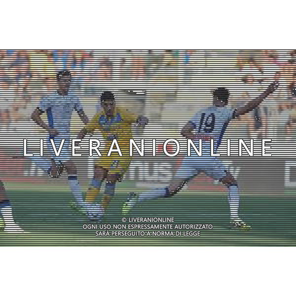 Frosinone vs Atalanta - Campionato Serie A - 2 giornata - Stadio B.Stirpe - Frosinone 26-08-2023 nella foto Gol Harroui foto federico gaetano-ag aldo liverani sas