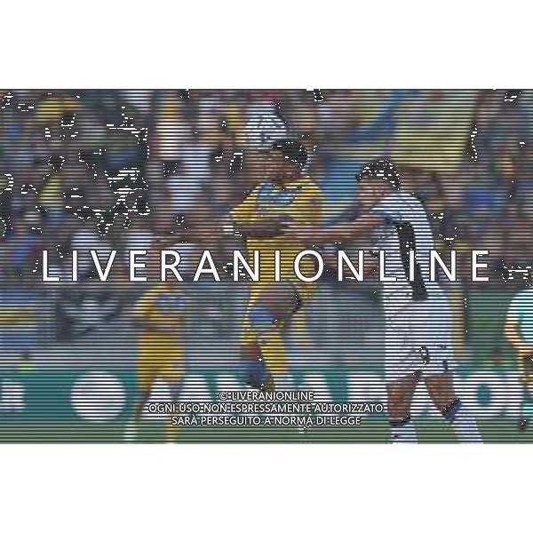 Frosinone vs Atalanta - Campionato Serie A - 2 giornata - Stadio B.Stirpe - Frosinone 26-08-2023 nella foto Cheddira e Djimsiti