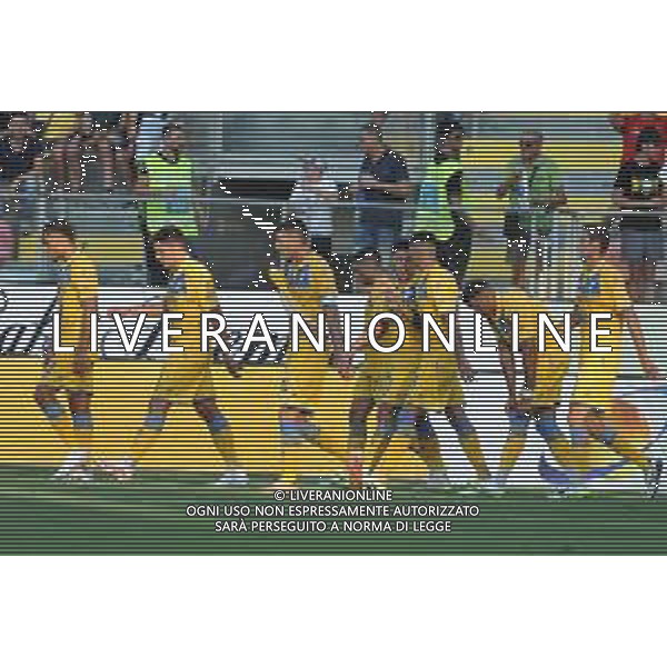 Frosinone vs Atalanta - Campionato Serie A - 2 giornata - Stadio B.Stirpe - Frosinone 26-08-2023 nella foto Esultanza Frosinone