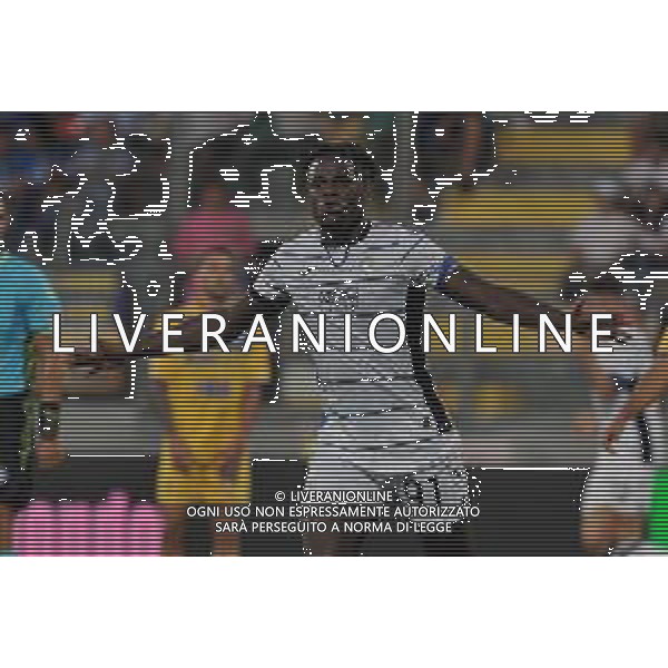Frosinone vs Atalanta - Campionato Serie A - 2 giornata - Stadio B.Stirpe - Frosinone 26-08-2023 nella foto Esultanza Zapata FOTO FEDERICO GAETANO-AG ALDO LIVERANI SAS