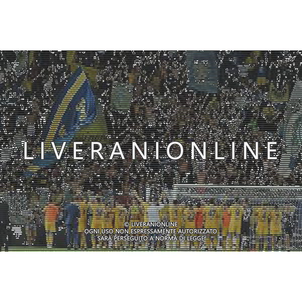 Frosinone vs Atalanta - Campionato Serie A - 2 giornata - Stadio B.Stirpe - Frosinone 26-08-2023 nella foto Esultanza Frosinone sotto la curva FOTO FEDERICO GAETANO-AG ALDO LIVERANI SAS