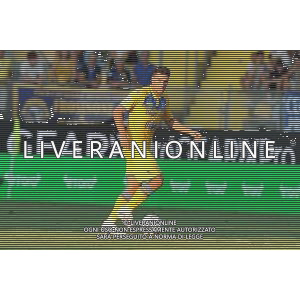 Frosinone vs Atalanta - Campionato Serie A - 2 giornata - Stadio B.Stirpe - Frosinone 26-08-2023 nella foto Riccardo Marchizza FOTO FEDERICO GAETANO-AG ALDO LIVERANI SAS