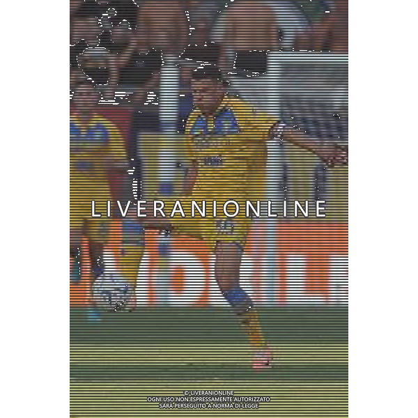 Frosinone vs Atalanta - Campionato Serie A - 2 giornata - Stadio B.Stirpe - Frosinone 26-08-2023 nella foto Luca Mazzitelli FOTO FEDERICO GAETANO-AG ALDO LIVERANI SAS