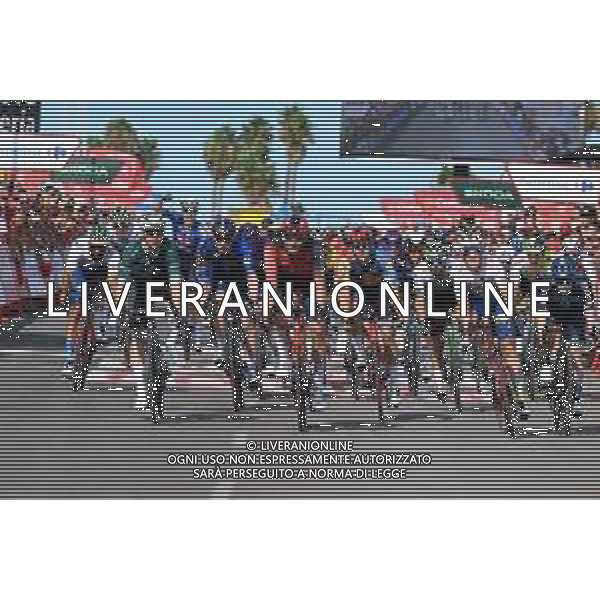 30-08-2023 Vuelta A Espana; Tappa 05 Morella - Burriana; 2023, Alpecin - Deceuninck; 2023, Ineos Grenadiers; 2023, Totalenergies; Groves, Kaden; Ganna, Filippo; Van Gestel, Dries; Burriana; FOTO STEFANO SIROTTI-AG ALDO LIVERANI SAS