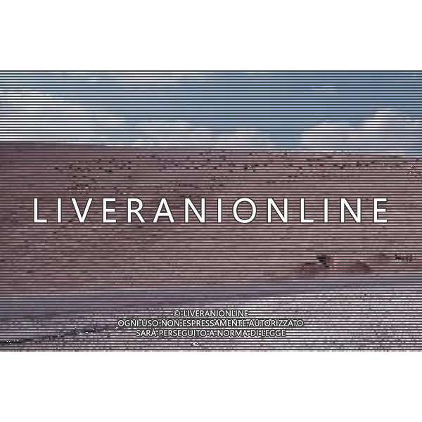 DIAP-ISRAELE GERUSALEMME NELLA FOTO Il deserto della Giudea è un deserto che si estende tra lo stato d\'Israele e in Cisgiordania, in particolare tra la zona orientale di Gerusalemme e il Mar Morto AG ALDO LIVERANI SAS