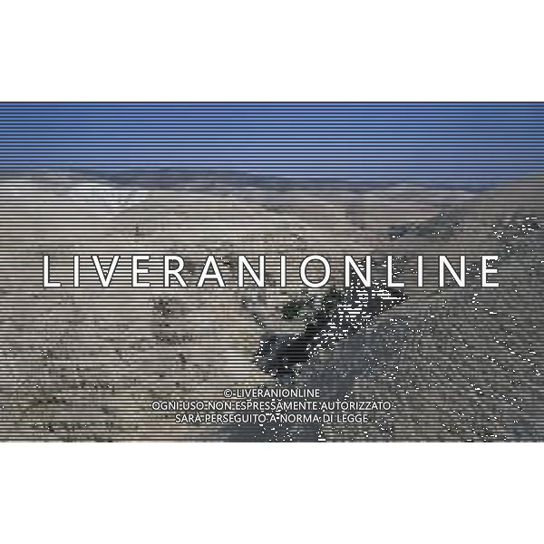 DIAP-ISRAELE GERUSALEMME NELLA FOTO Il deserto della Giudea è un deserto che si estende tra lo stato d\'Israele e in Cisgiordania, in particolare tra la zona orientale di Gerusalemme e il Mar Morto AG ALDO LIVERANI SAS