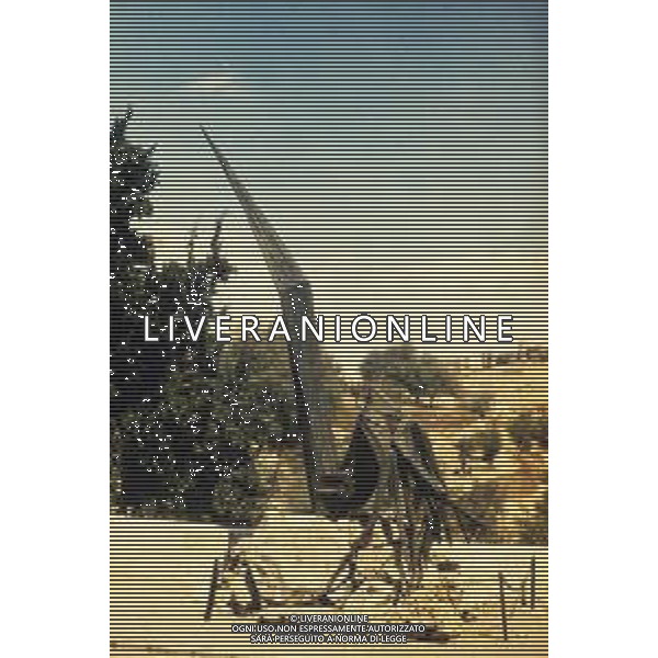 DIAP-ISRAELE GERUSALEMME NELLA FOTO MEMORAIL HEROE\'S AG ALDO LIVERANI SAS