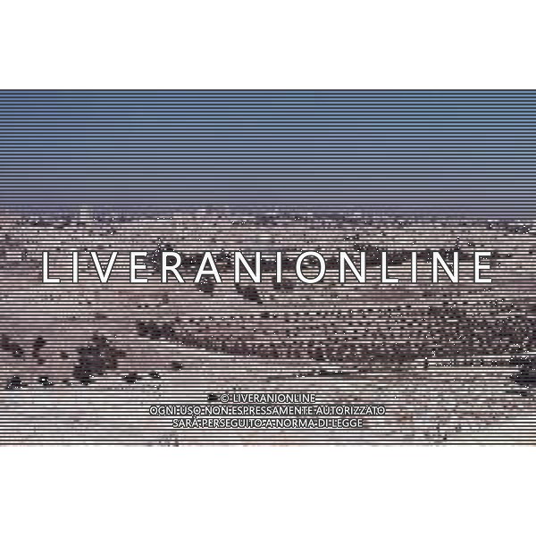 DIAP-ISRAELE GERUSALEMME NELLA FOTO IL MONTE DEGLI ULIVI AG ALDO LIVERANI SAS 
