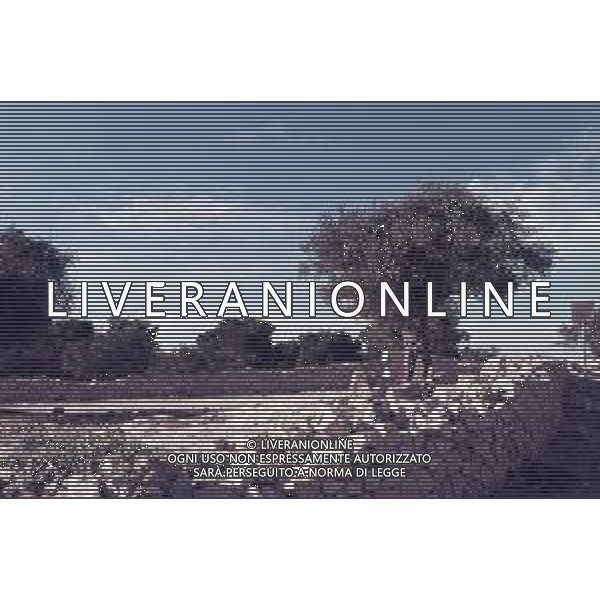 DIAP-ISRAELE GERUSALEMME NELLA FOTO IL MONTE DEGLI ULIVI AG ALDO LIVERANI SAS 