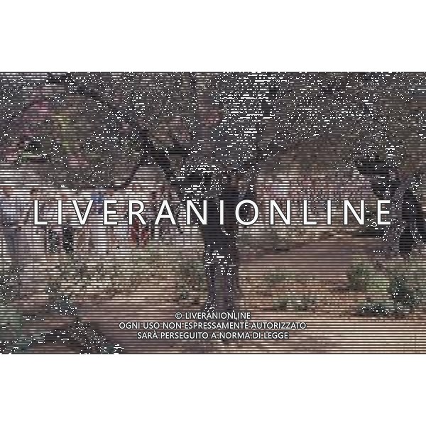 DIAP-ISRAELE GERUSALEMME NELLA FOTO IL MONTE DEGLI ULIVI AG ALDO LIVERANI SAS 