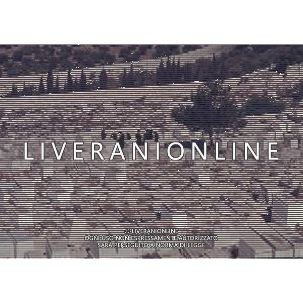 DIAP-ISRAELE GERUSALEMME NELLA FOTO IL VECCHIO CIMITERO EBRAICO AG ALDO LIVERANI SAS