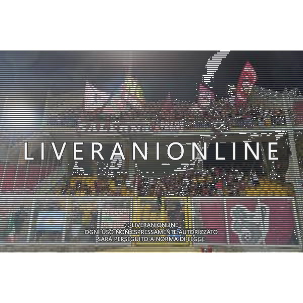 Supporters of US Salernitana 1919 during the Italian soccer Serie A match US Lecce vs US Salernitana 1919 on September 3, 2023 at Via del Mare Stadium in Lecce, Italy. Photo by Emmanuele Mastrodonato/ag. Aldo Liverani sas/ AGENZIA ALDO LIVERANI SAS