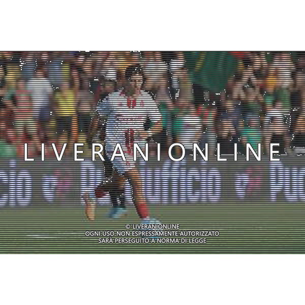 Ternana vs Bari - Campionato Serie B - 4 giornata - Stadio L.Liberati - Terni 03-09-2023 nella foto Gregorio Morachioli FOTO FEDERICO GAETANO-AG ALDO LIVERANI SAS