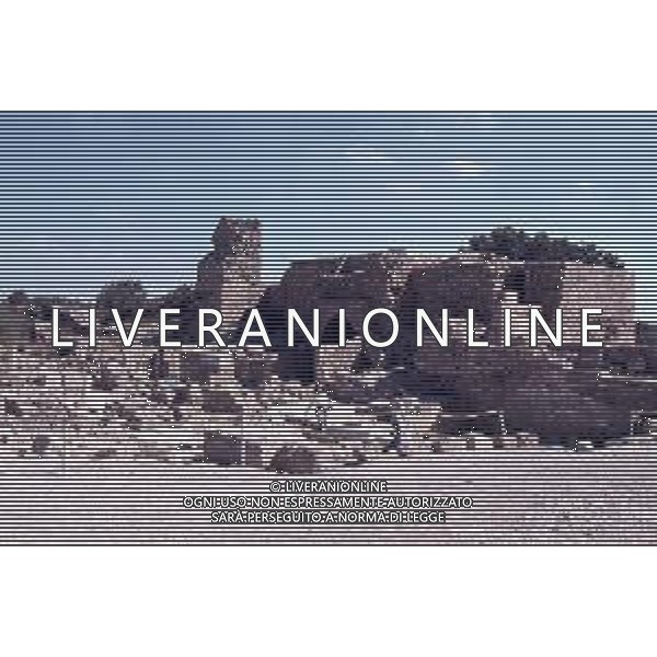 DIAP- ISRAELE -CESAREA NELLA FOTO ANTICO PORTO CESAREA AG ALDO LIVERANI SAS