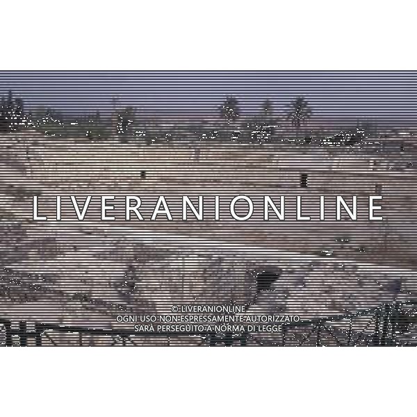 DIAP-ISRAELE NELLA FOTO Beit She\'an e\' il più grande teatro antico della Palestina (verso il 200 a.C.), che poteva contenere settemila spettatori. Scythopolis, che fu una delle città della Decapoli ellenistica, conobbe il suo apogeo nell\'epoca romana e bizantina. L\'odeon e il tempio romano, il colonnato e le terme bizantine sono particolarmente suggestivi. AG ALDO LIVERANI SAS