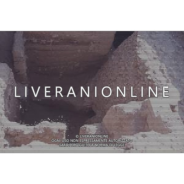 DIAP-ISRAELE GERICO NELLA FOTO GERICO CITTA\' ANTCA AG ALDO LIVERANI SAS