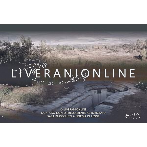 DIAP-ISRAELE -HaGoshrim kibbutz Libano nella foto HaGoshrim kibbutz Libano ag aldo liverani sas