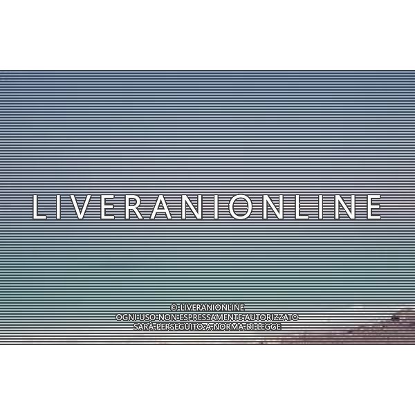 DIAP-ISRAELE NELLA FOTO IL MAR MORTO AG ALDO LIVERANI SAS