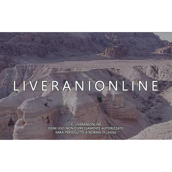 DIAP-ISRAELE-Qumran è divenuta famosa in seguito alla scoperta nel 1947 dei cosiddetti Manoscritti del Mar Morto e dei resti di un monastero dove si ritiene vivesse una comunità di Esseni. NELLA FOTO LE GROTTE DOVE FU TROVATO IL MANOSCRITTO AG ALDO LIVERANI SAS