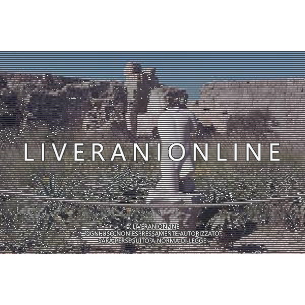 DIAP- ISRAELE -CESAREA NELLA FOTO RESTI ROMANI CESAREA AG ALDO LIVERANI SAS