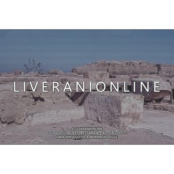 DIAP- ISRAELE -CESAREA NELLA FOTO RESTI ROMANI CESAREA AG ALDO LIVERANI SAS