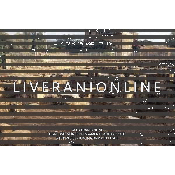 DIAP- ISRAELE -CESAREA NELLA FOTO ROVINE ROMANE CESAREA DI FILIPPO AG ALDO LIVERANI SAS