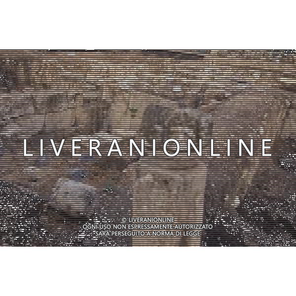 DIAP- ISRAELE -CESAREA NELLA FOTO ROVINE ROMANE CESAREA DI FILIPPO AG ALDO LIVERANI SAS