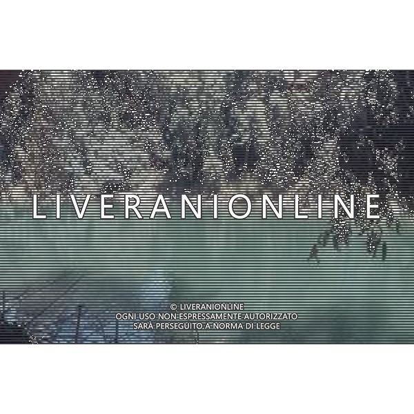 DIAP- ISRAELE -CESAREA NELLA FOTO SORGENTI DEL FIUME GIORDANO AG ALDO LIVERANI SAS