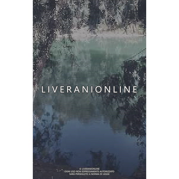 DIAP- ISRAELE -CESAREA NELLA FOTO SORGENTI DEL FIUME GIORDANO AG ALDO LIVERANI SAS