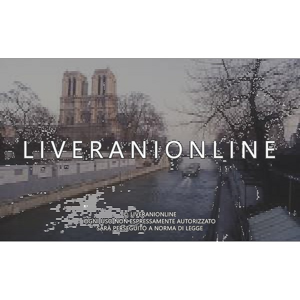 DIAP-FRANCIA PARIGI NELLA FOTO IL PONTE ALEXANDRE III SUL FIUME SENNA AG ALDO LIVERANI SAS