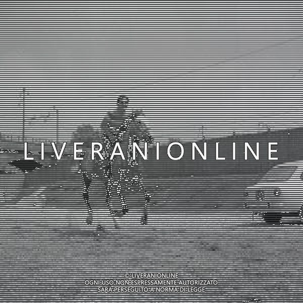 NEG-RETROSPETTIVA GINO SANTERCOLE ATTORE E CANTANTE NELLA FOTO GINO SANTERCOLE AL MANEGGIO A MILANO NELL\'ANNO 1967 AG ALDO LIVERANI SAS
